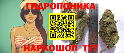 дурь Партизанск
